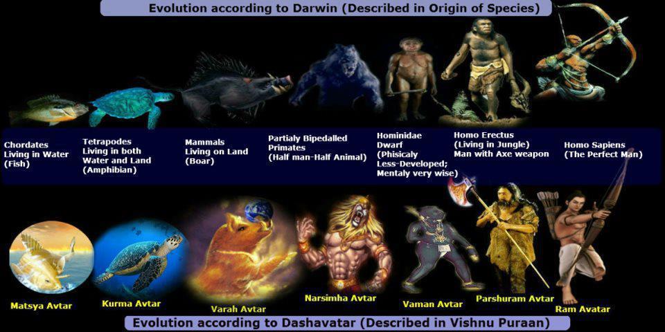 Evolution vs Dashavatar